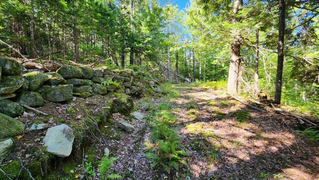 Lot 32 Rt 148 Starks, ME 04911 - Photo 7 of 17 20240903_151315_resized