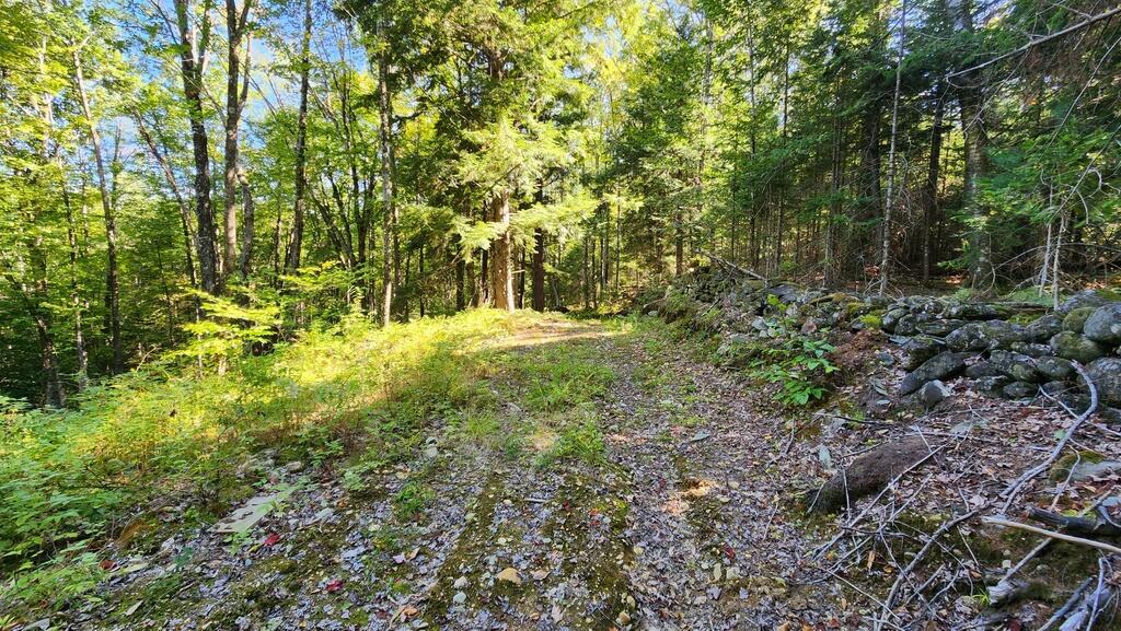 Lot 32 Rt 148 Starks, ME 04911 - Photo 9 of 17 20240903_151438_resized