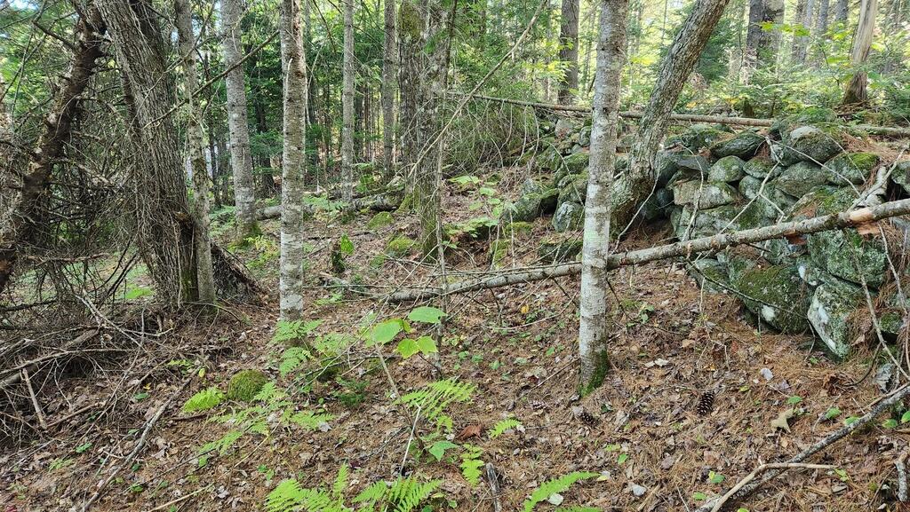 Lot 32 Rt 148 Starks, ME 04911 - Photo 10 of 17 20240903_151757_resized