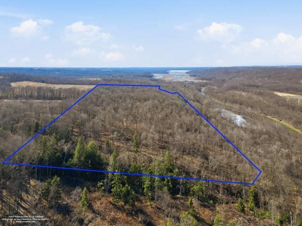 0 West River Road Hermitage, PA 16148 - Photo 3 of 13