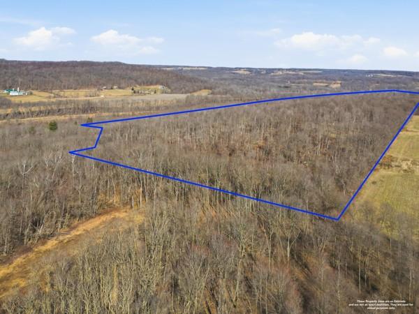 0 West River Road Hermitage, PA 16148 - Photo 4 of 13