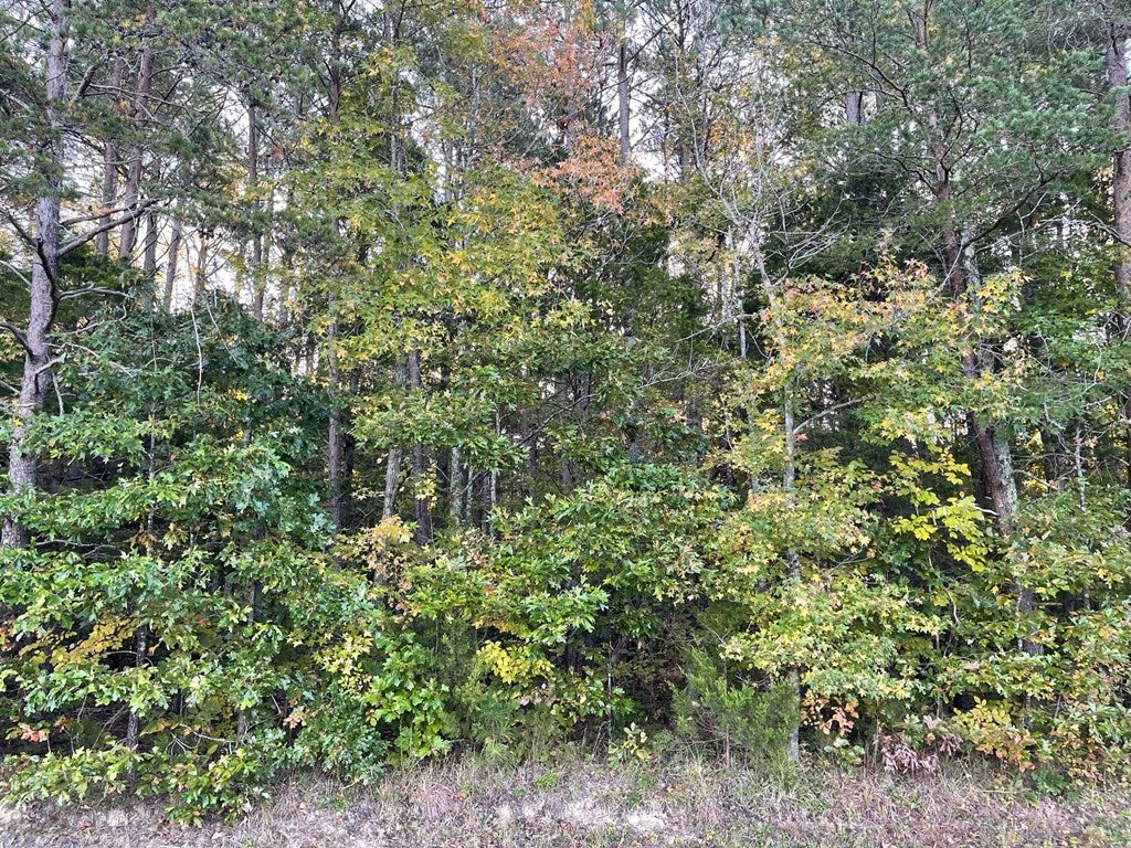 0 Asal Road Farmville, VA 23901 - Photo 6 of 48 Gallery Image 6