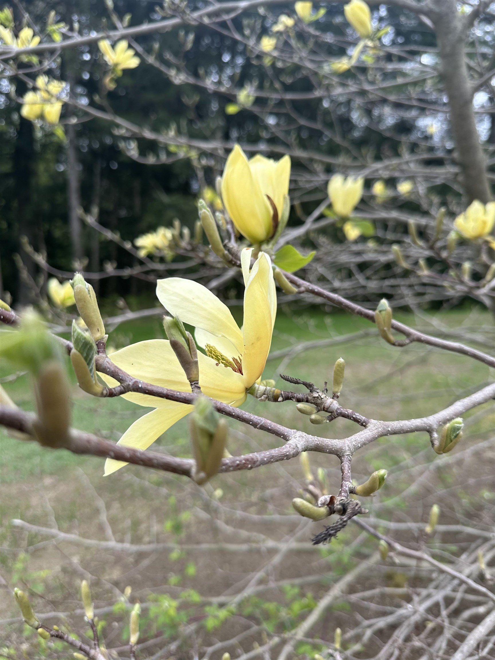 1036 Back River Road Royalton, VT 05068 - Photo 32 of 39
