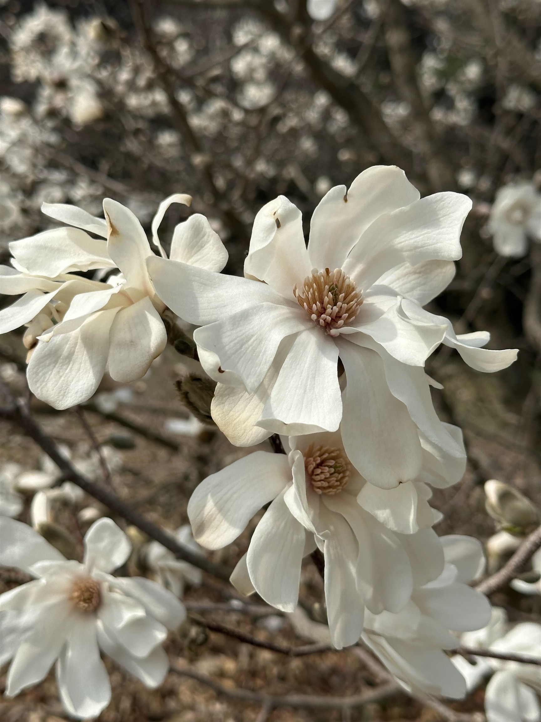 1036 Back River Road Royalton, VT 05068 - Photo 33 of 39