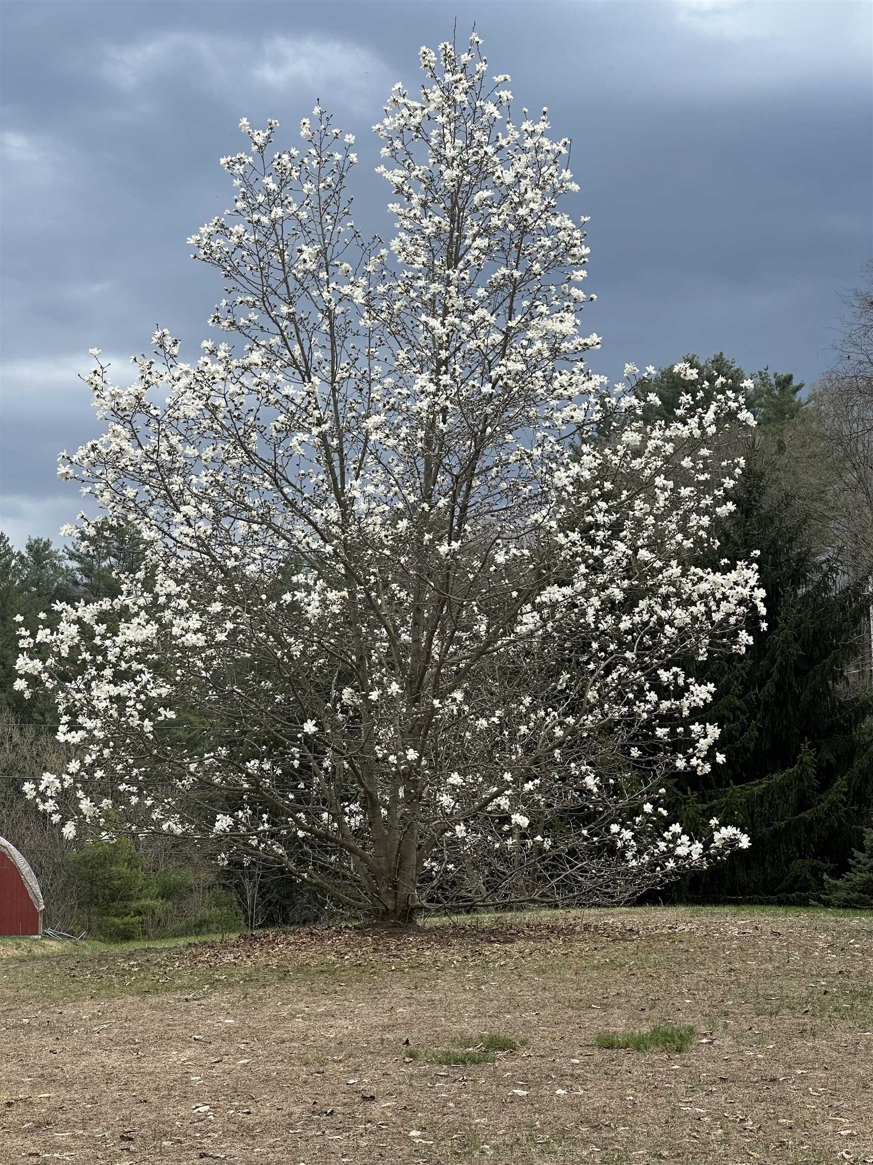 1036 Back River Road Royalton, VT 05068 - Photo 35 of 39