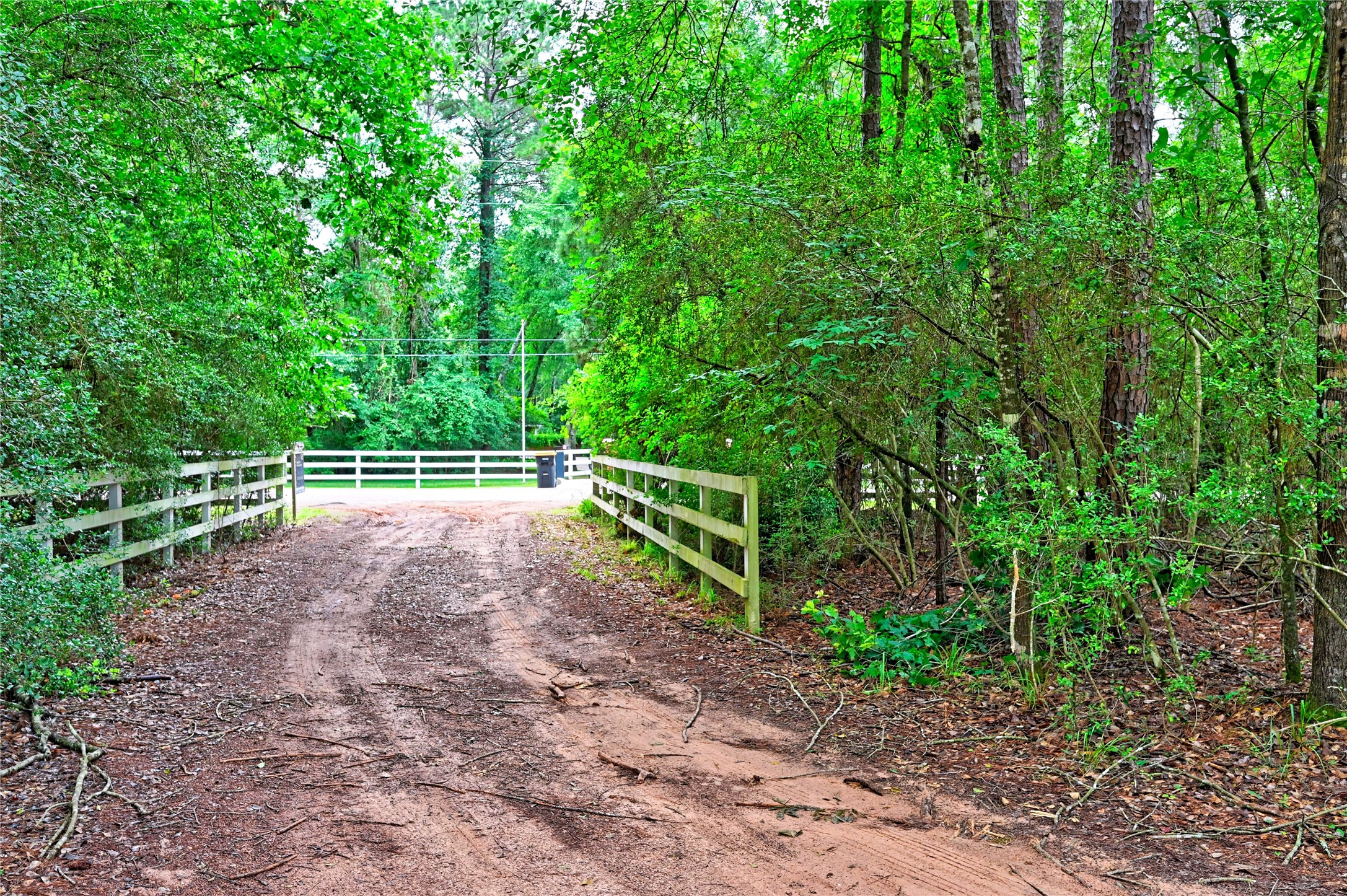 6410 Ranch Park Road Magnolia, TX 77354 - Photo 4 of 8