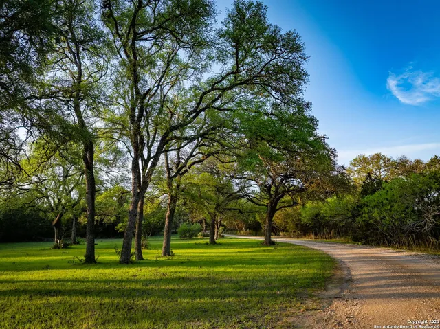 a park with lots of trees and plants