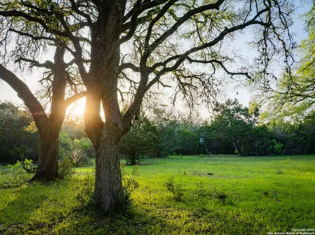 a view of backyard with green space