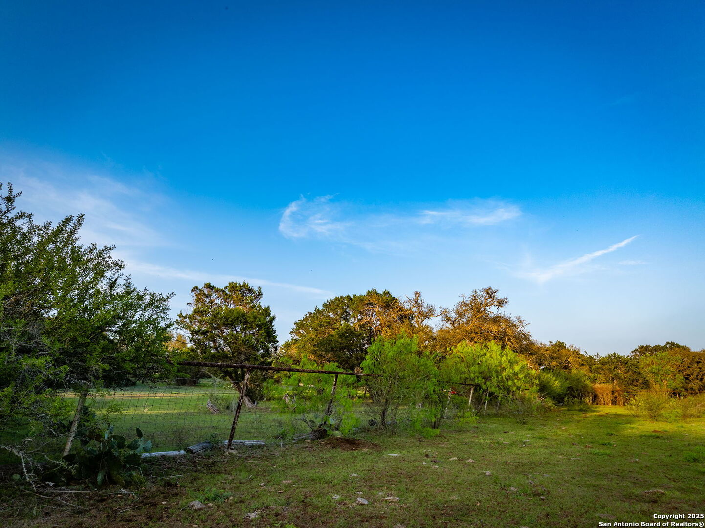 200 Elm Creek Road New Braunfels, TX 78132 - Photo 13 of 45 a view of a park