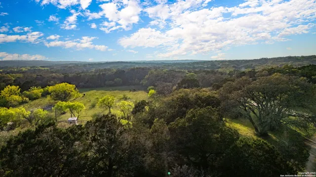 a view of a lake with lots of trees