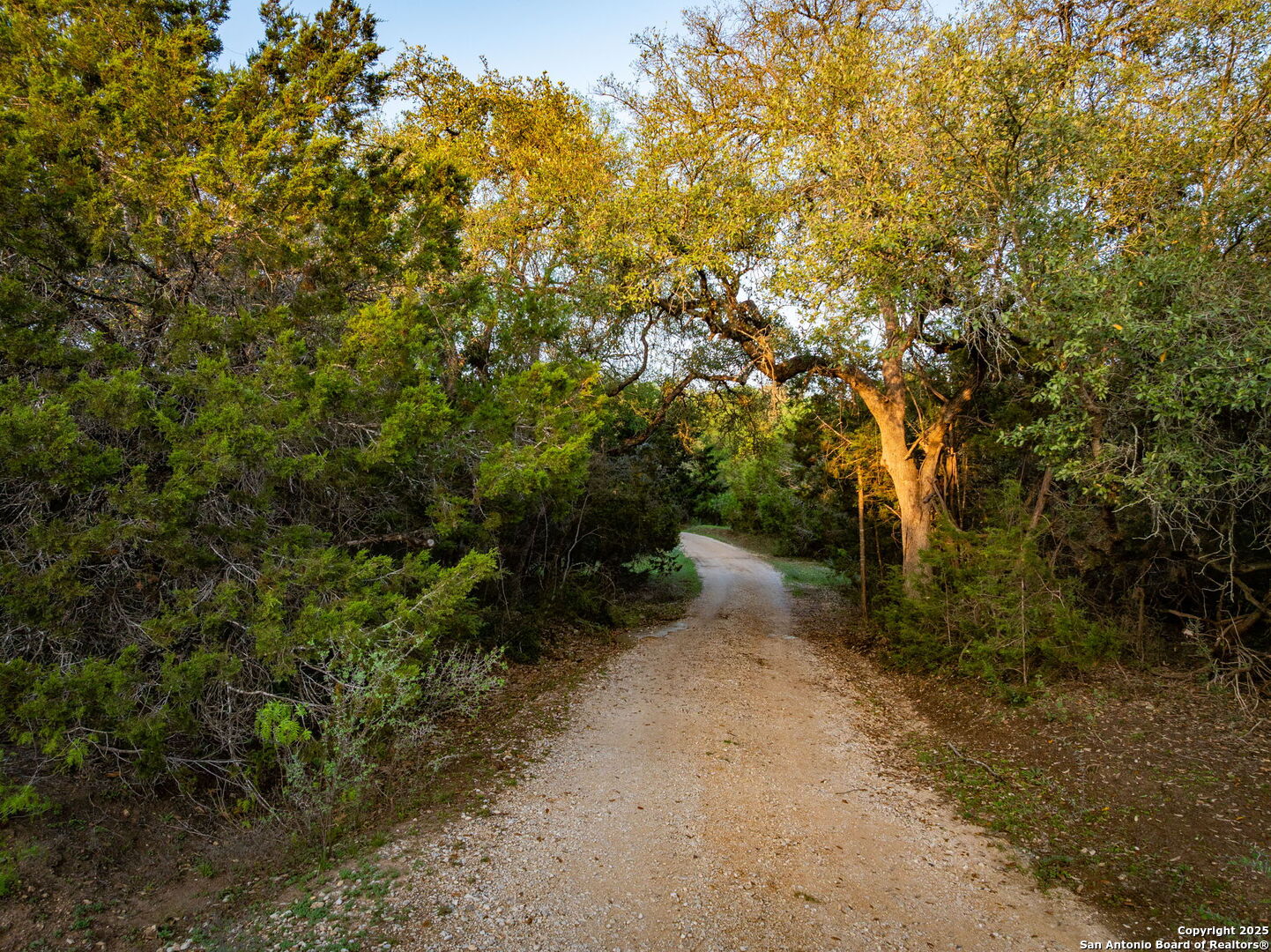 200 Elm Creek Road New Braunfels, TX 78132 - Photo 16 of 45 a view of a forest with trees in the background
