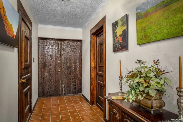 a potted plant sitting on a floor in front of a door