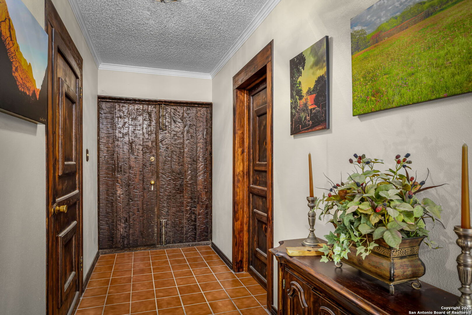 200 Elm Creek Road New Braunfels, TX 78132 - Photo 23 of 45 a potted plant sitting on a floor in front of a door