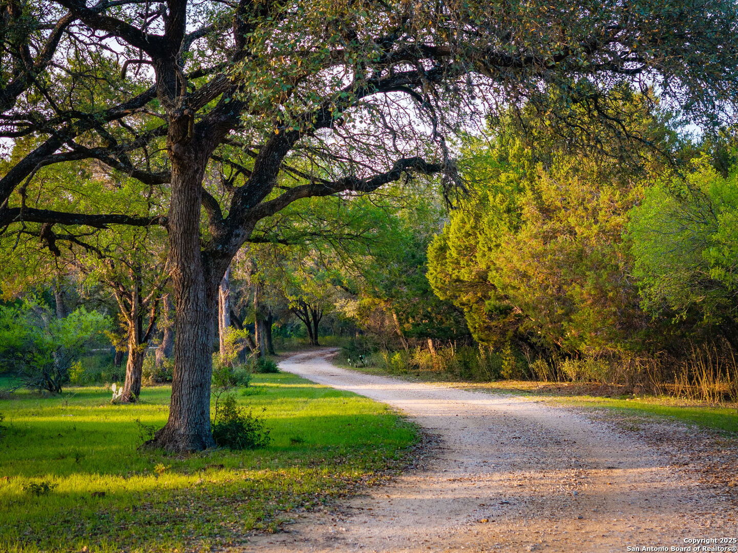 200 Elm Creek Road New Braunfels, TX 78132 - Photo 3 of 45 a view of a garden