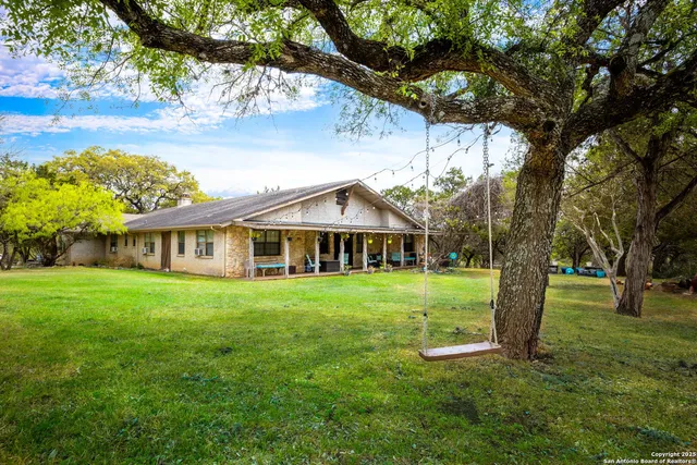 a view of a big garden with plants and large trees