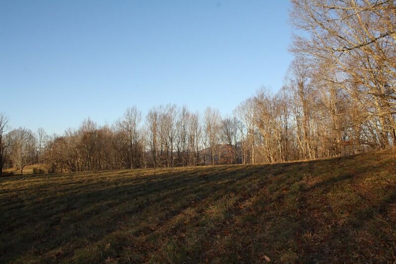 Zion Mountain Road Hinton, WV 25951 - Photo 11 of 73 Gallery Image 11