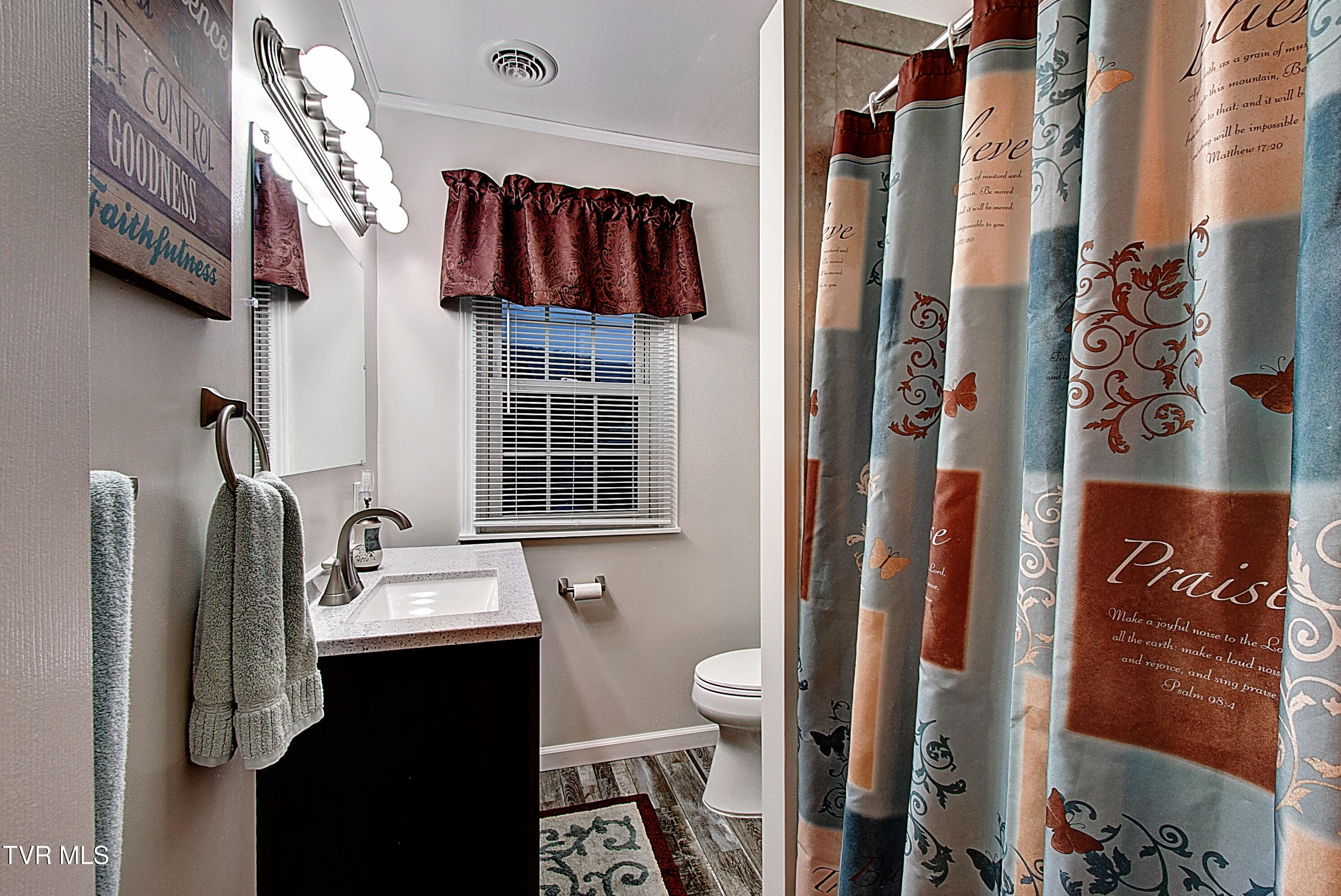 322 Carolina Avenue Erwin, TN 37650 - Photo 38 of 51 DSC_0436And8more