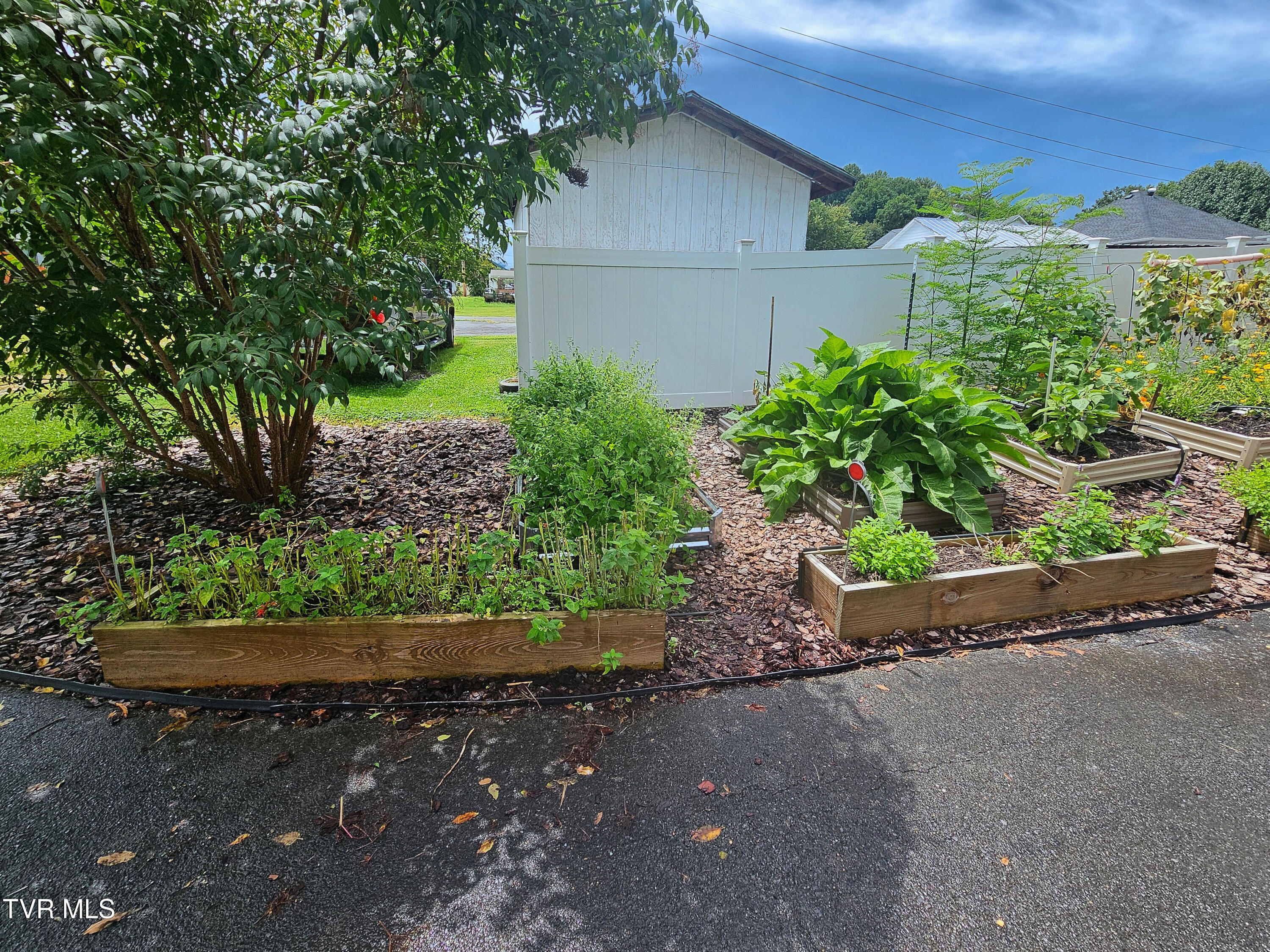 322 Carolina Avenue Erwin, TN 37650 - Photo 50 of 51 DSC_0604_5_6_7_8_12