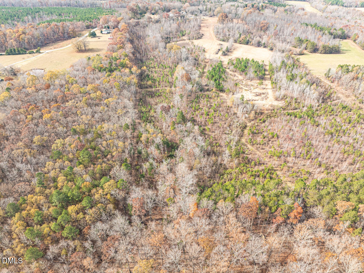 0 Mann Oakley Road Rougemont, NC 27572 - Photo 35 of 55 34