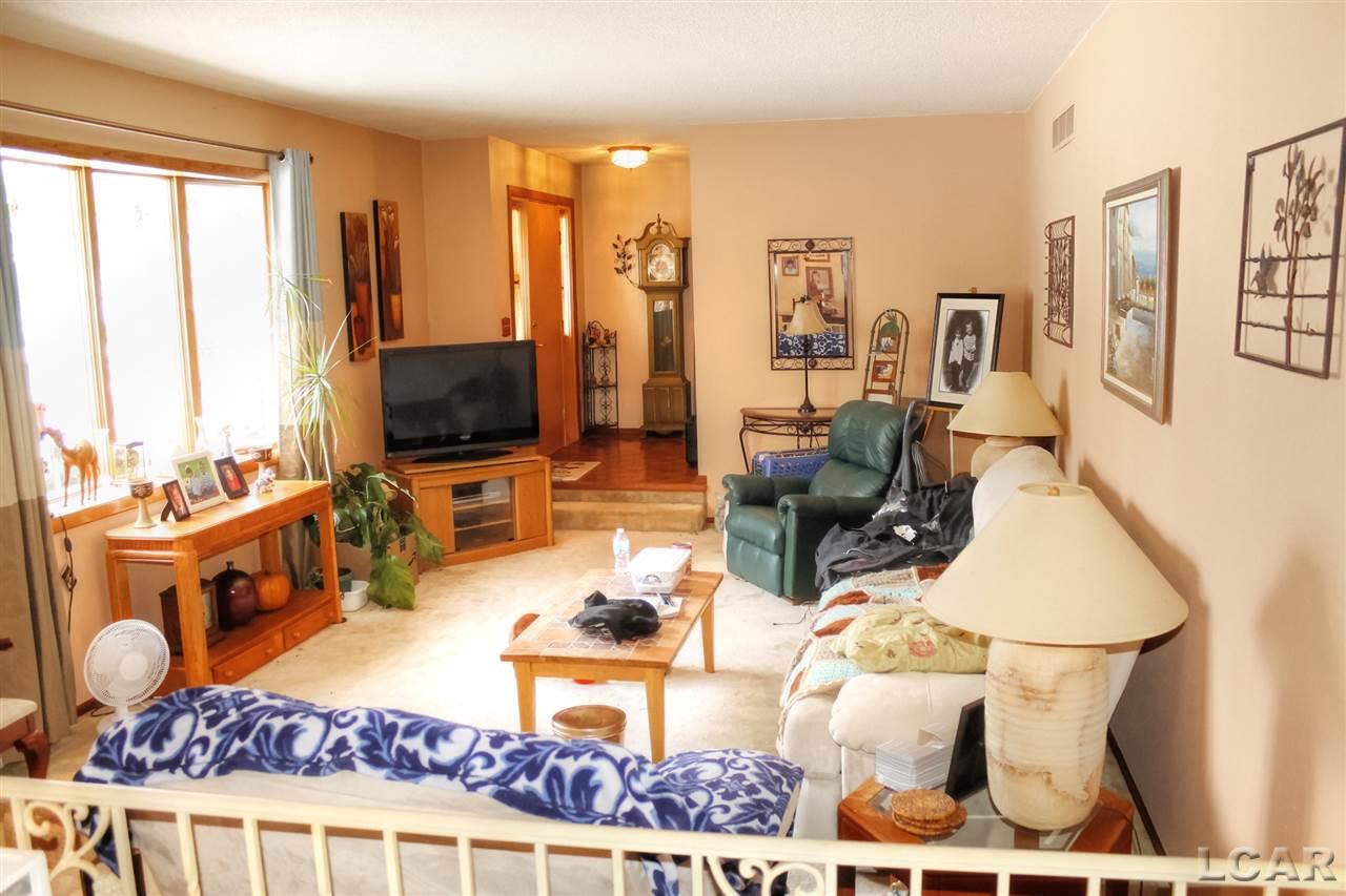 6455 Allen Road Tecumseh, MI 49286 - Photo 3 of 19 Living Room