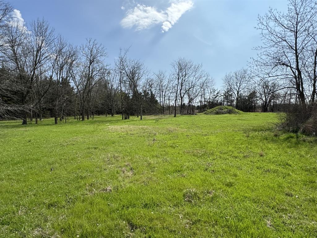 0 Loop 286 Paris Tx 75460 Paris, TX 75460 - Photo 12 of 16