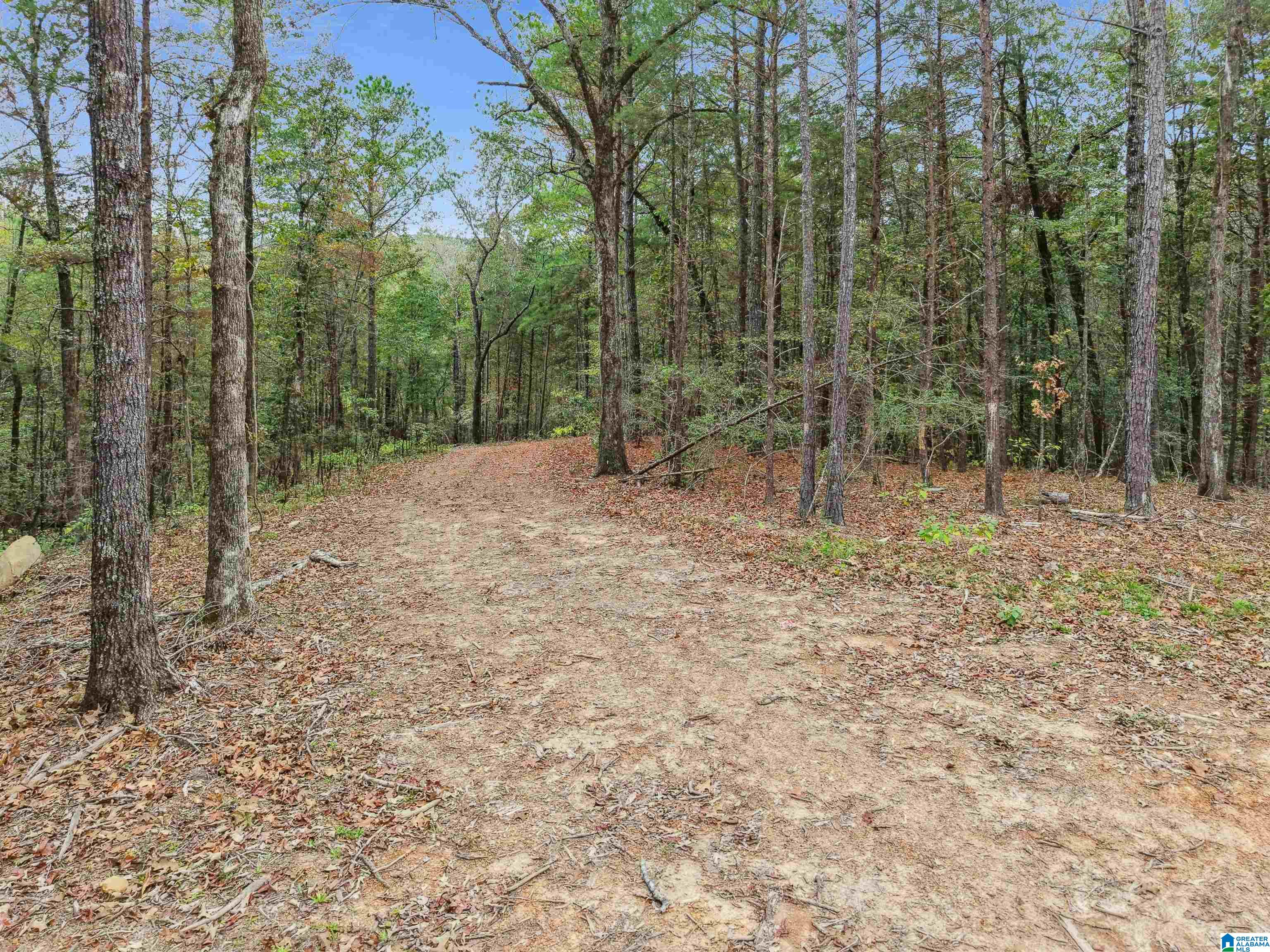 1215 Buddy Vines Camp Road Bessemer, AL 35023 - Photo 9 of 25