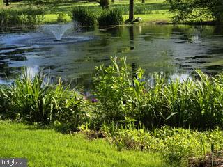 1890 Millport Road Lancaster, PA 17602 - Photo 53 of 57 Pond View