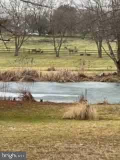 1890 Millport Road Lancaster, PA 17602 - Photo 57 of 57 Deer Beyond Pond
