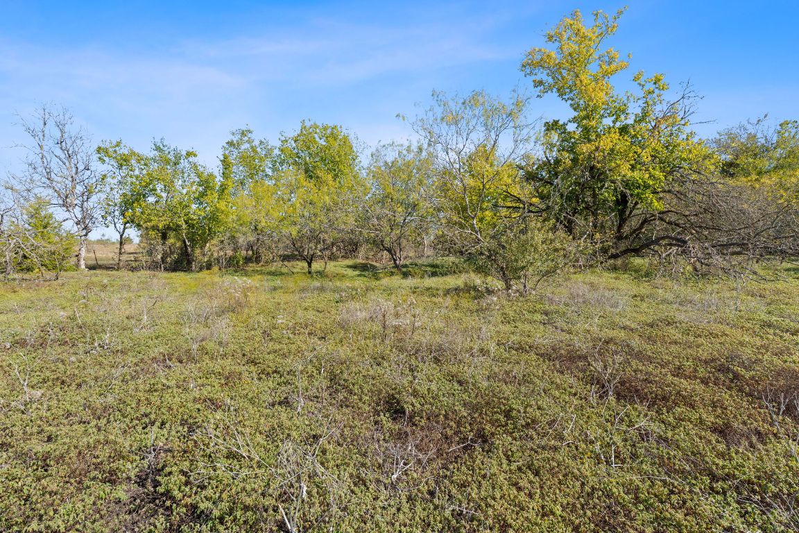 130 Meyers Road Buda, TX 78610 - Photo 27 of 35 a view of a yard with a house