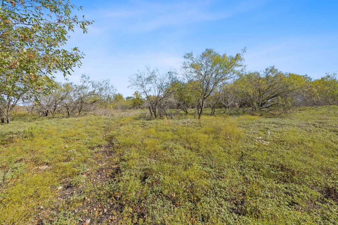 130 Meyers Road Buda, TX 78610 - Photo 32 of 35 a view of a field with an trees