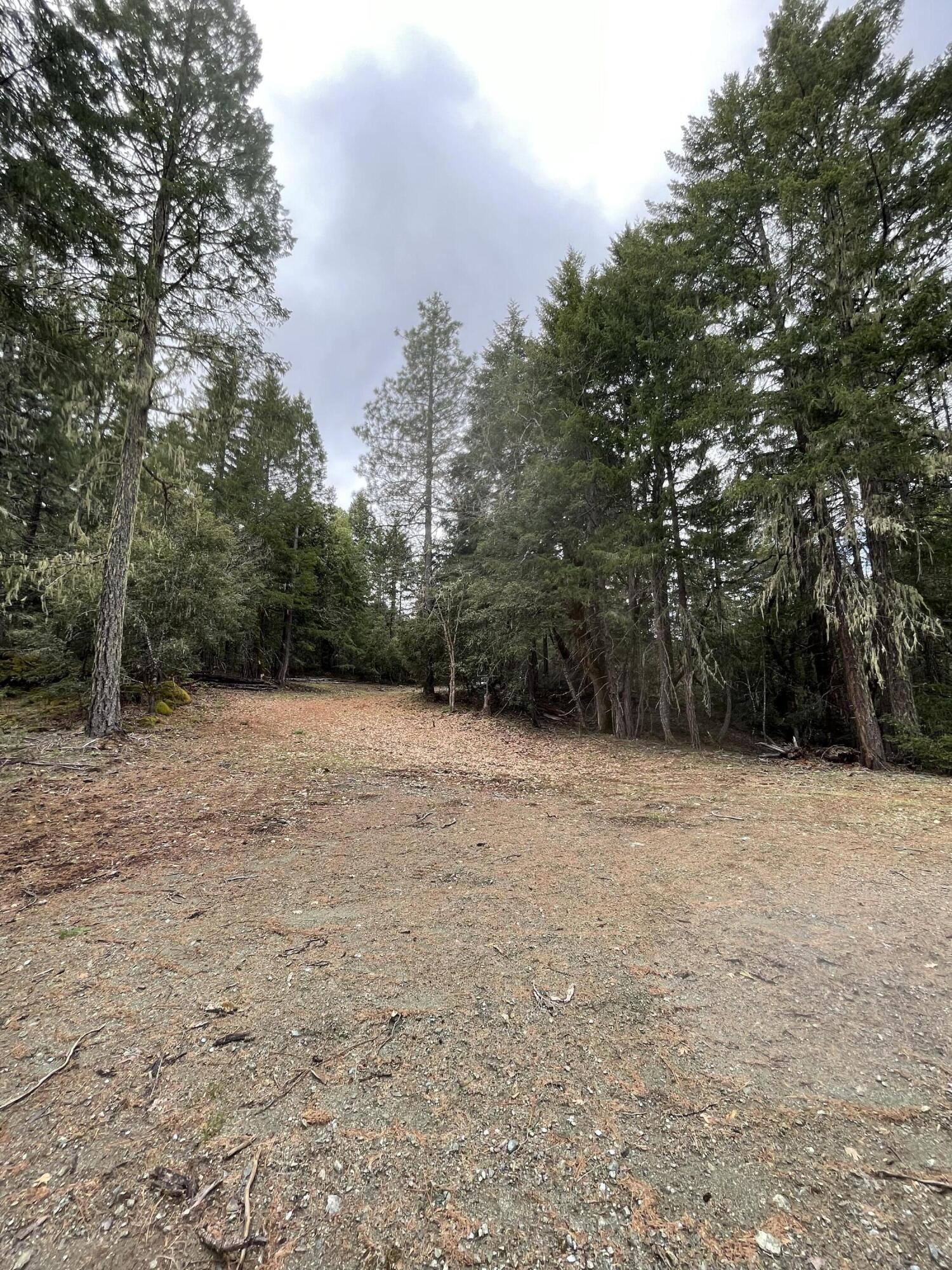 345 Mcdonald Creek Road Burnt Ranch, CA 95527 - Photo 21 of 27 IMG_5376