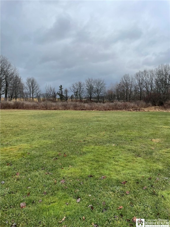 0 East Main St Extension Falconer, NY 14733 - Photo 2 of 9