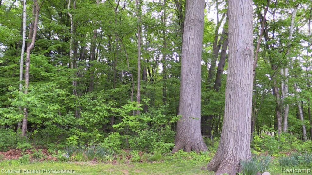 5877 Lyons Road Imlay City, MI 48444 - Photo 32 of 40