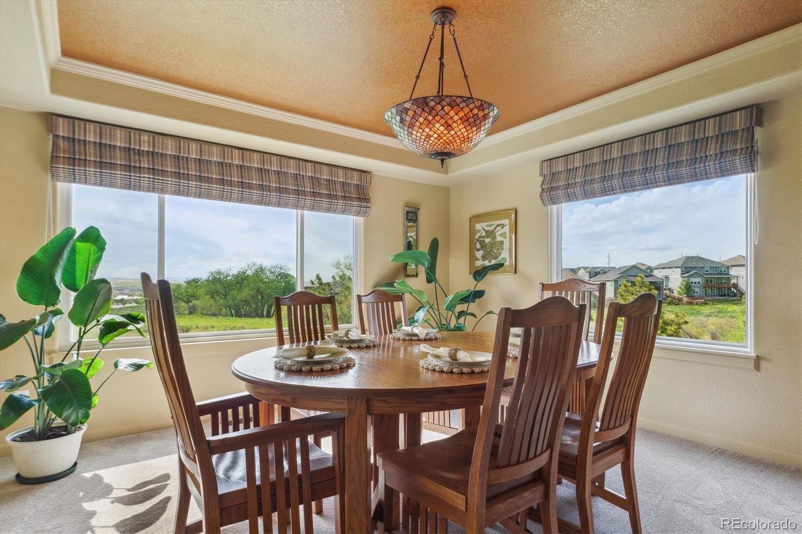 7289 Stroh Road Parker, CO 80134 - Photo 11 of 50