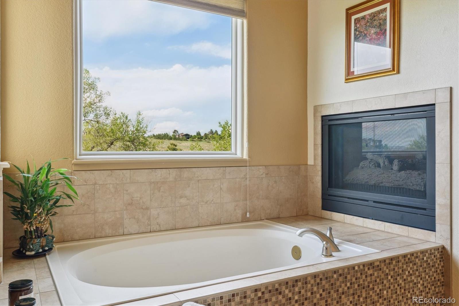 7289 Stroh Road Parker, CO 80134 - Photo 28 of 50