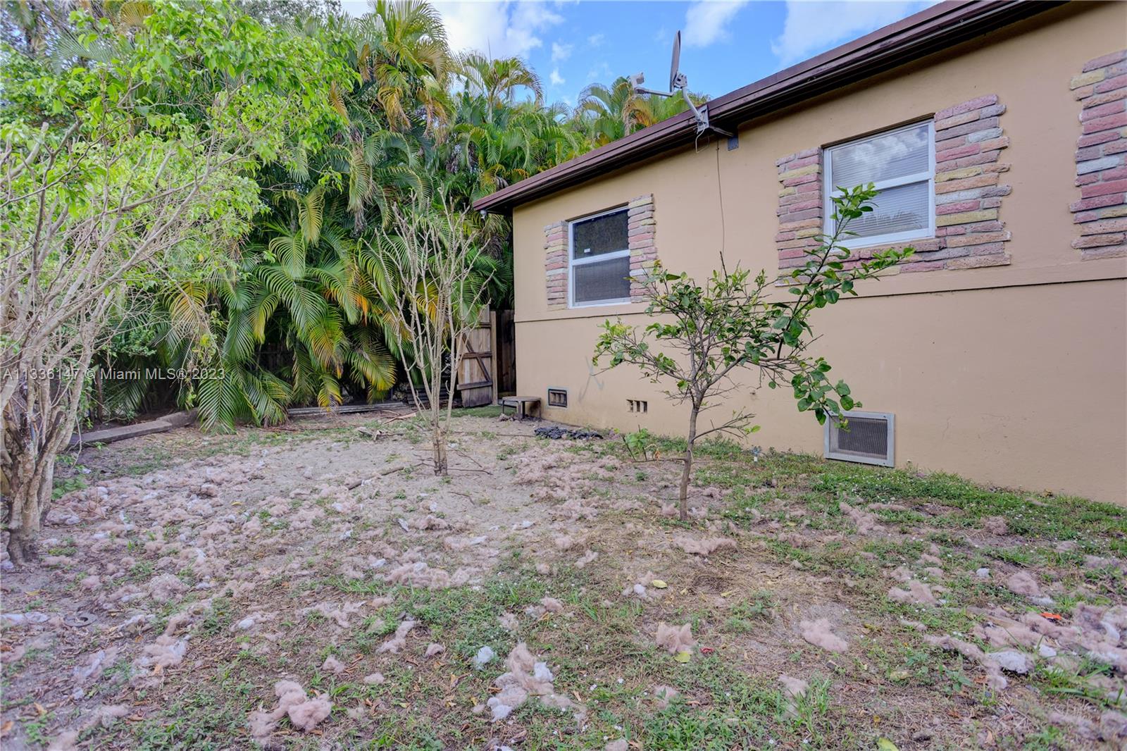 980 Southwest 15th Avenue Miami, FL 33135 - Photo 21 of 23 a view of a backyard with plants
