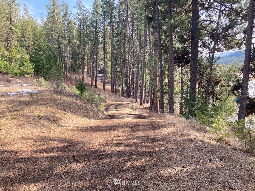 6000 Teanaway Road Cle Elum, WA 98922 - Photo 11 of 30 Gallery Image 11