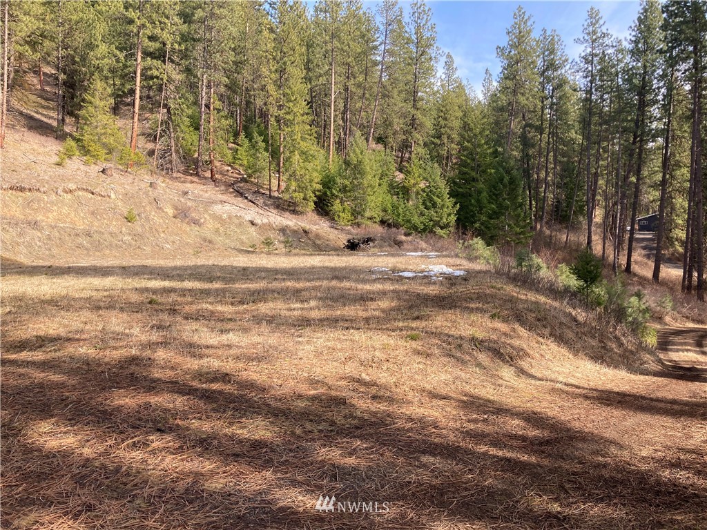 6000 Teanaway Road Cle Elum, WA 98922 - Photo 12 of 30 Gallery Image 12