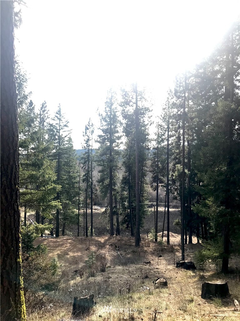 6000 Teanaway Road Cle Elum, WA 98922 - Photo 13 of 30 Gallery Image 13