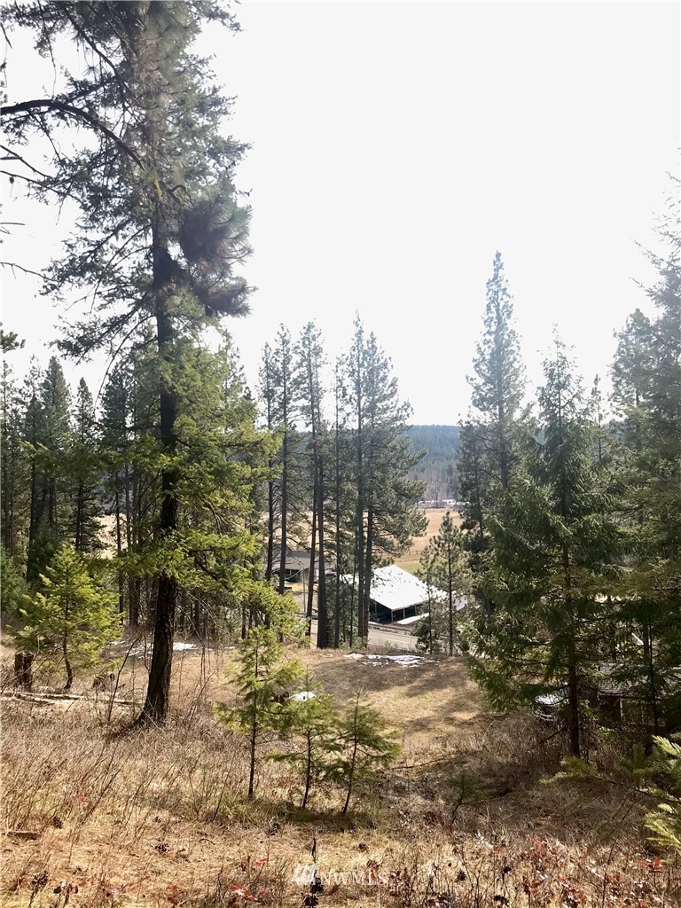 6000 Teanaway Road Cle Elum, WA 98922 - Photo 14 of 30 Gallery Image 14