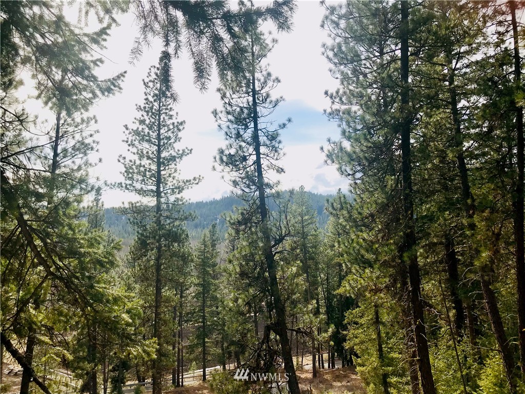 6000 Teanaway Road Cle Elum, WA 98922 - Photo 16 of 30 Gallery Image 16