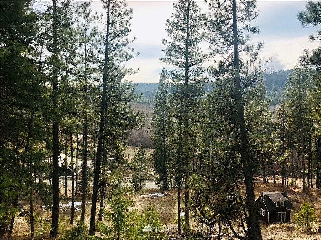 6000 Teanaway Road Cle Elum, WA 98922 - Photo 17 of 30 Gallery Image 17
