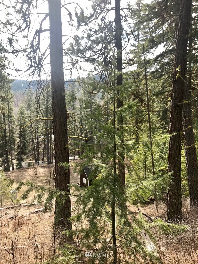 6000 Teanaway Road Cle Elum, WA 98922 - Photo 18 of 30 Gallery Image 18