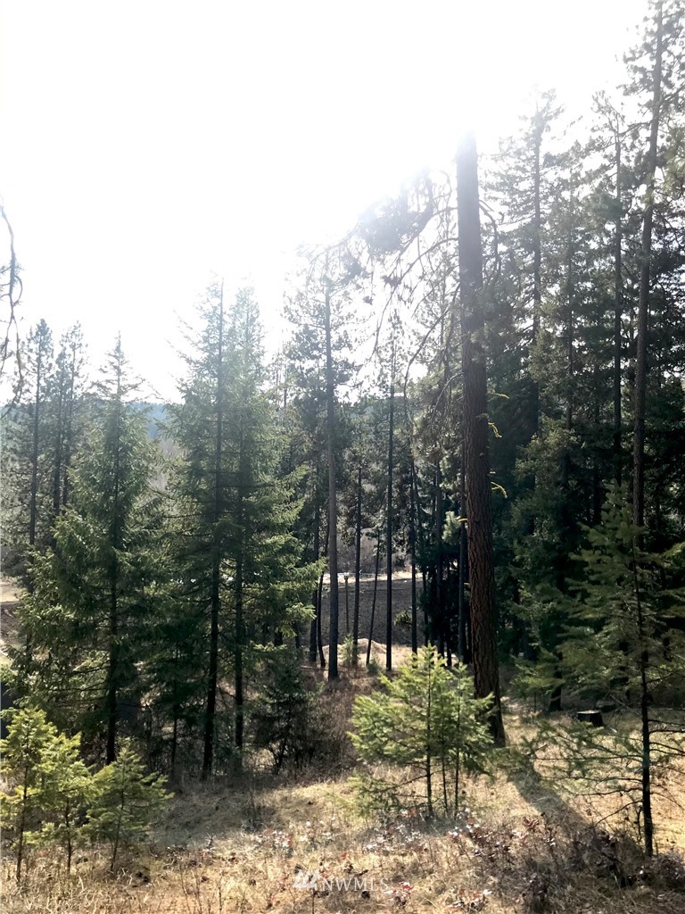 6000 Teanaway Road Cle Elum, WA 98922 - Photo 19 of 30 Gallery Image 19