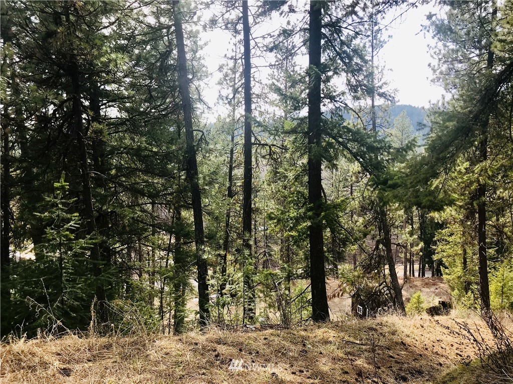 6000 Teanaway Road Cle Elum, WA 98922 - Photo 20 of 30 Gallery Image 20
