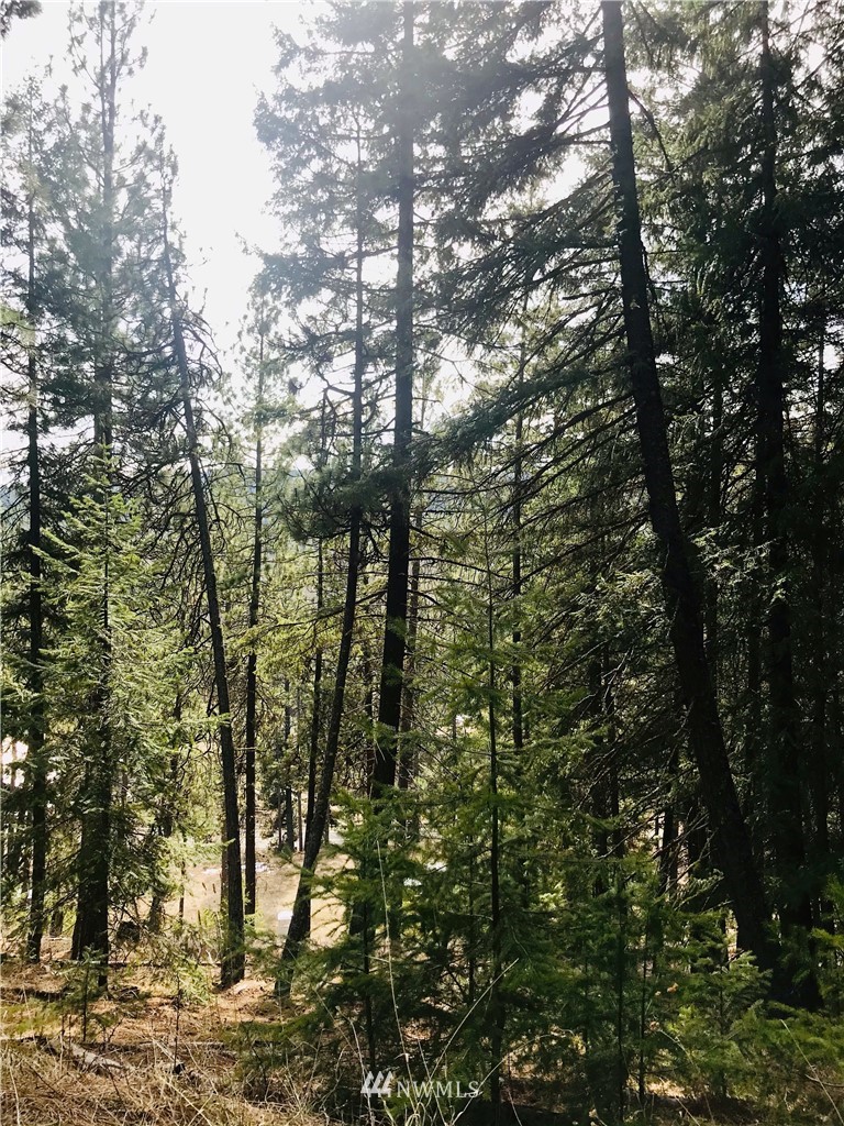 6000 Teanaway Road Cle Elum, WA 98922 - Photo 27 of 30 Gallery Image 27
