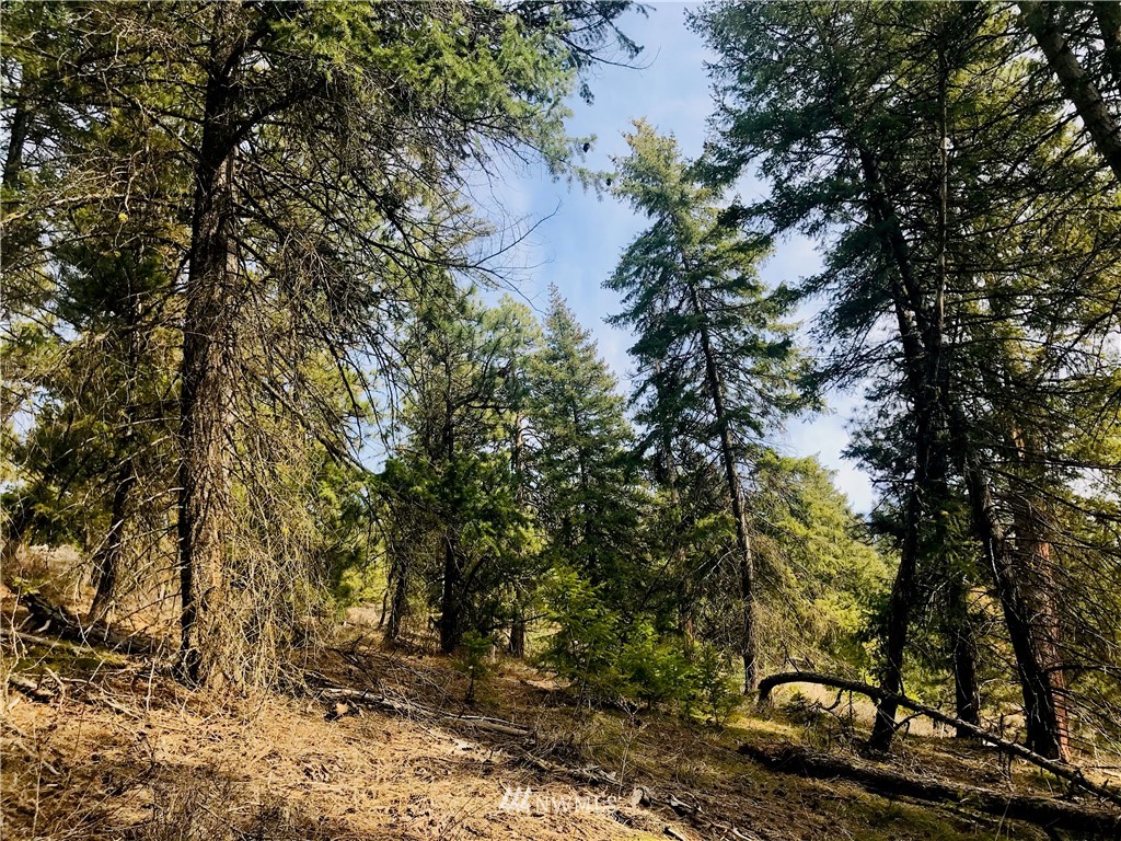 6000 Teanaway Road Cle Elum, WA 98922 - Photo 30 of 30 Gallery Image 30