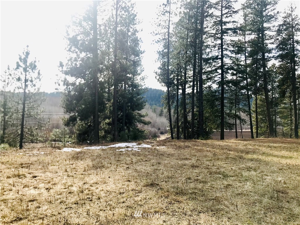 6000 Teanaway Road Cle Elum, WA 98922 - Photo 10 of 30 Gallery Image 10