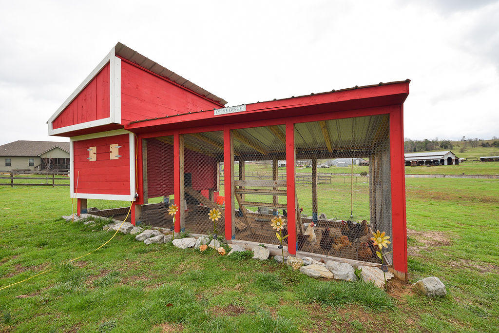 7067 Blue Springs Road Cleveland, TN 37311 - Photo 8 of 36 DSC_7424