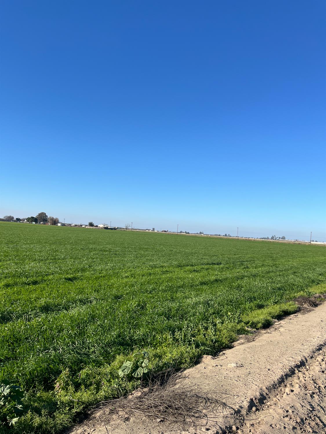 6425 South Prairie Flower Road Turlock, CA 95380 - Photo 3 of 22 a view of an ocean beach and a yard